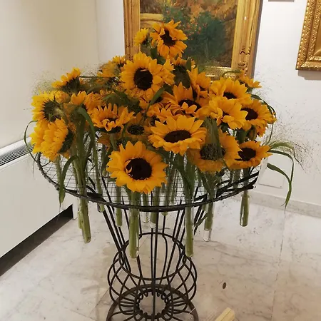 شقة Apartment/studio Il Girasole