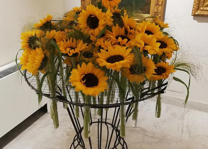 Apartmán Apartment/studio Il Girasole